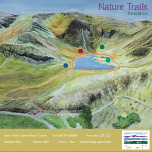 Cwm Idwal nature trail map