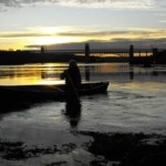 guided wildlife walks snowdonia wales