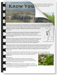 published environmental articles