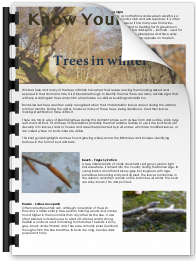 published articles