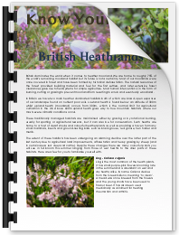published articles