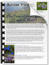 published articles