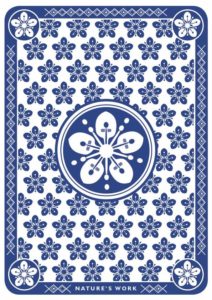 pack of cards