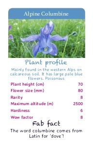 alpine flower cards