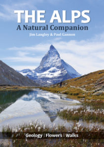 The Alps a natural companion The Alps a natural companion