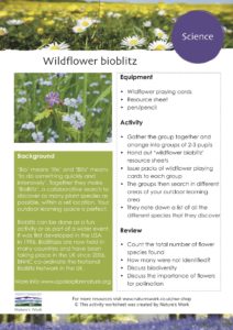Free worksheets for kids