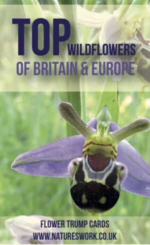 Wildflowers of Britain & Europe Top Trumps