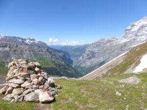 An alpine flowers walk