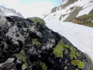 Deglaciation in the Alps
