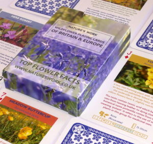 Wildflower playing cards
