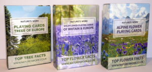 Wildflower playing cards