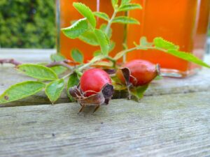 Rose hip syrup
