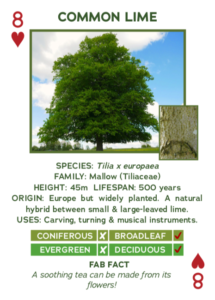 trees of europe card deck