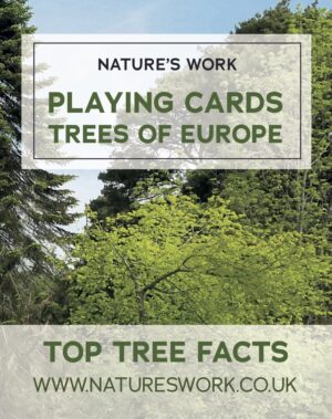 Trees of Europe Playing Cards