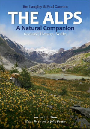 the alps a natural companion
