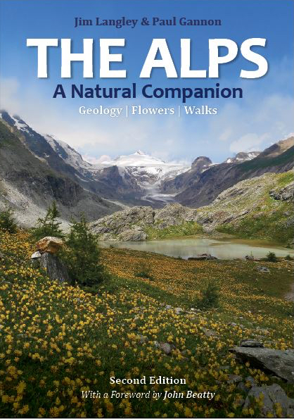 the alps a natural companion
