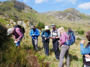 guided wildlife walks in Wales