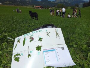 Secondary field studies in ecology and geography