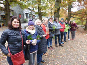 INSET training for teachers