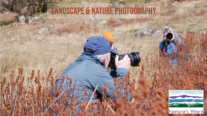 capture Snowdonia. Landscape and nature photography course